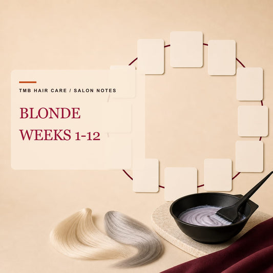 Twelve blank calendar cards with platinum and silver hair swatches and a salon color bowl